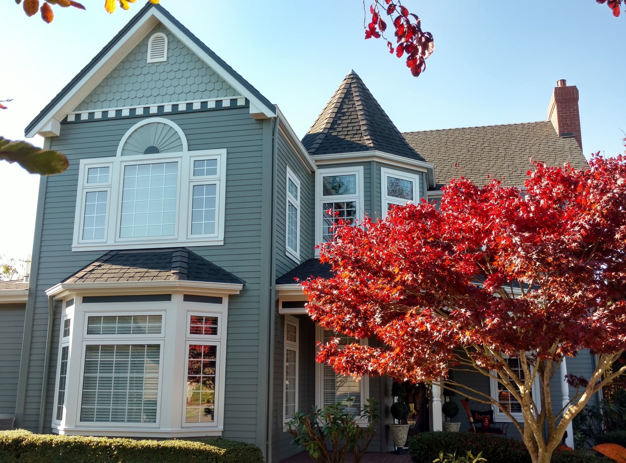 Crop Autumn exterior