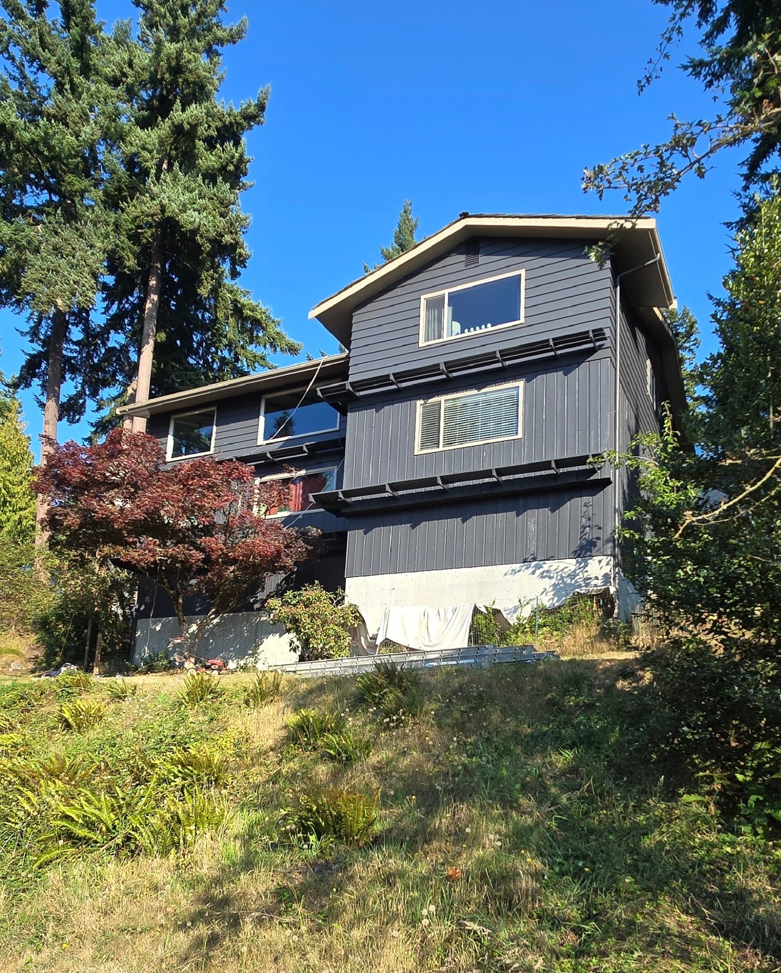 Randy Olson House Randy Olson House